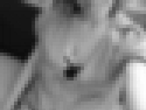 Photo from Lexie.T into Photo sage