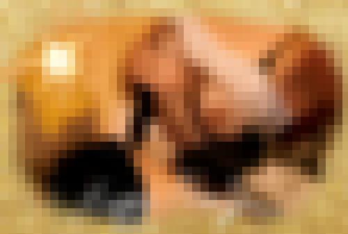 Foto de Lexie.T en Belle lingerie