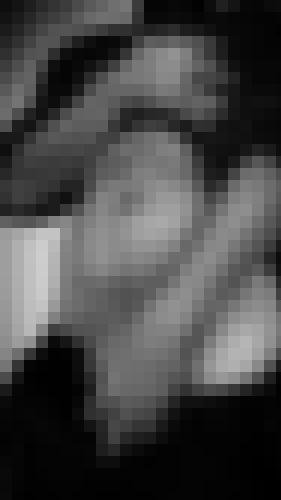 Photo from user1767864992807 into Main baladeuse